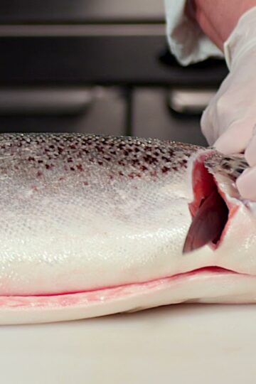 How to Fillet a Salmon