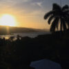 Jamaica Intro