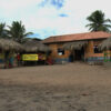 Jamaica Little Ochi
