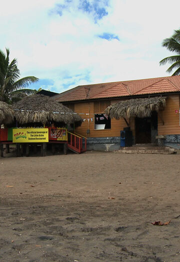 Jamaica Little Ochi