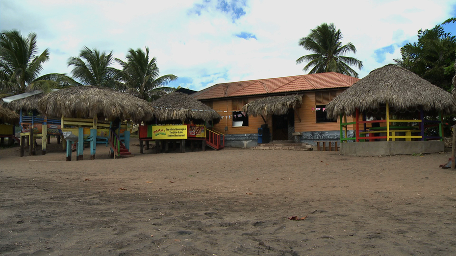 Jamaica Little Ochi