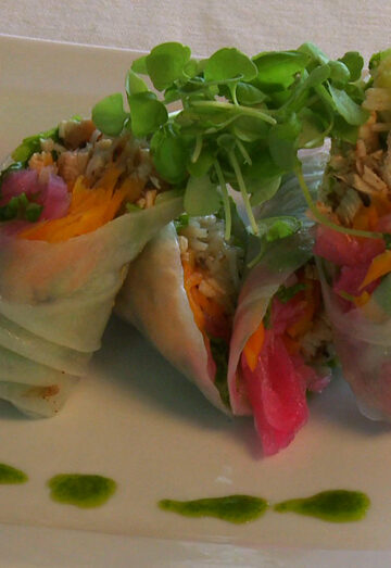 Jamaica Jerk Spring Roll