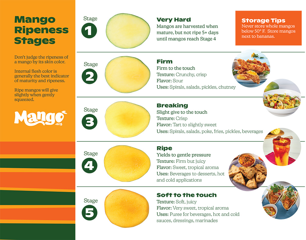 Mango-Ripening-Chart 2021