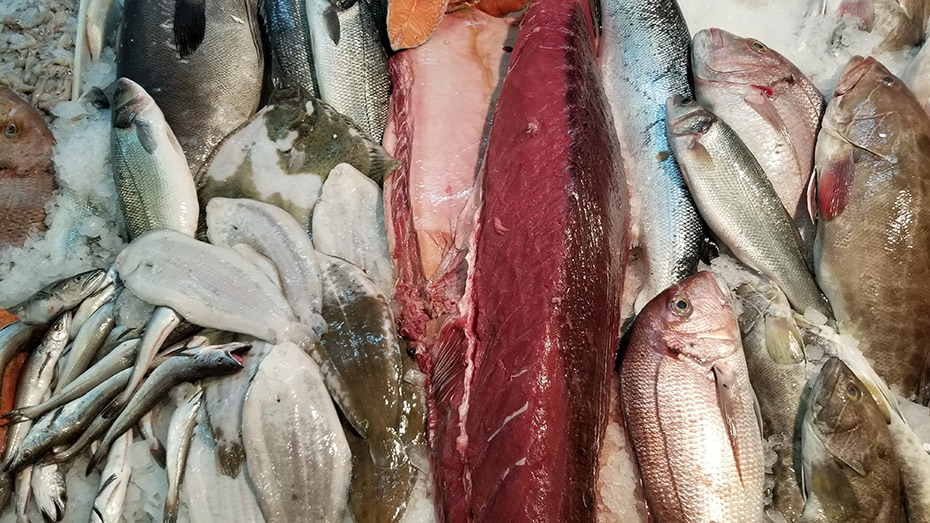 Rosanamar-Fish-Market2