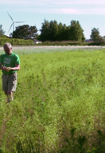 Scand_Asparagus_Farm