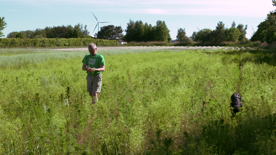 Scand_Asparagus_Farm