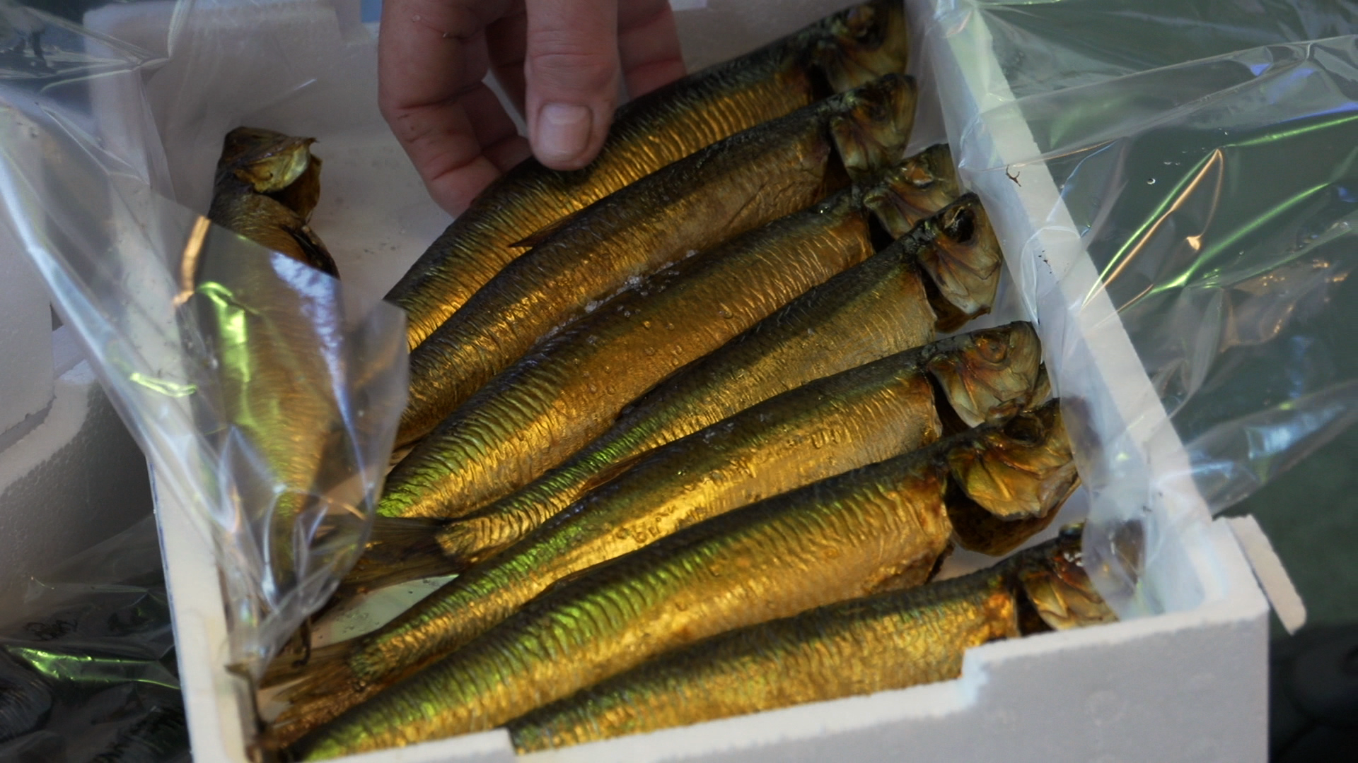 Scand_Fish_Market