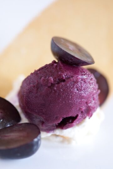 Sorbet