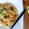 Stir Fried Noodles