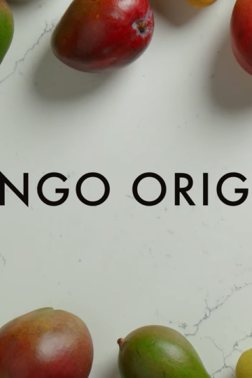 Mango Origins